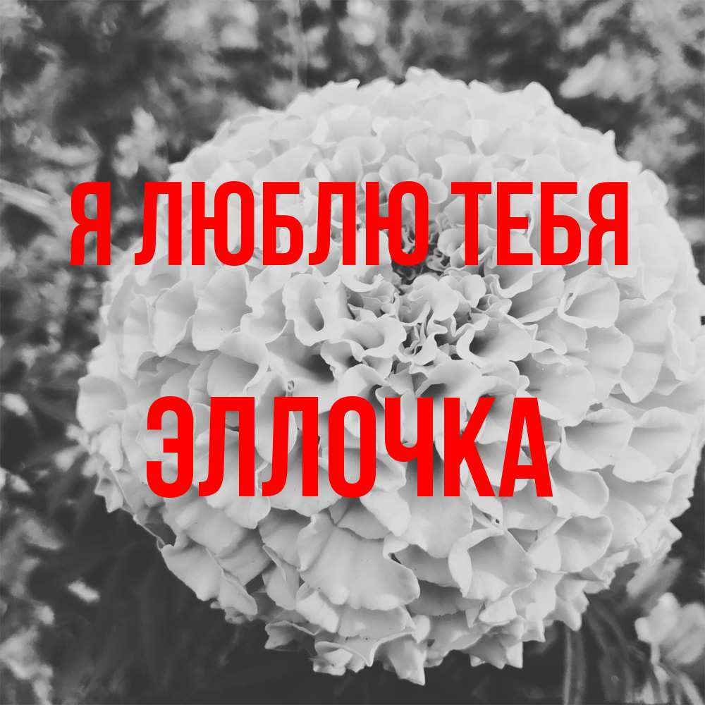 Открытка  с именем. Эллочка, Я люблю тебя  