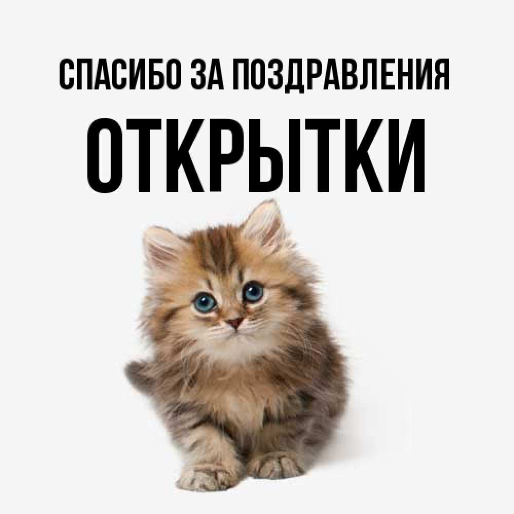 Открытка  с именем. открытки, Спасибо за поздравления  