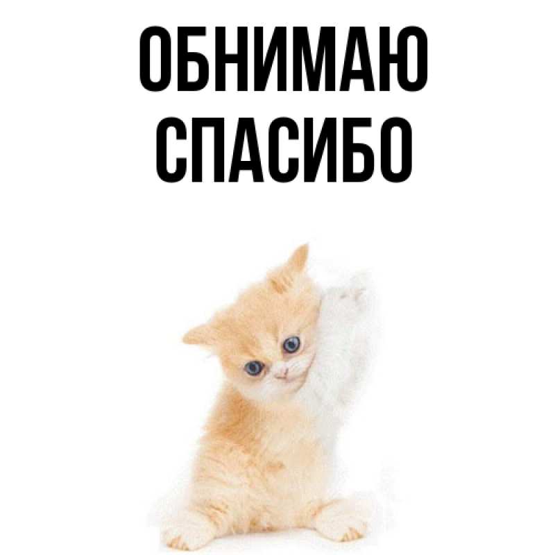 Картинка Обнимаю, СПАСИБО