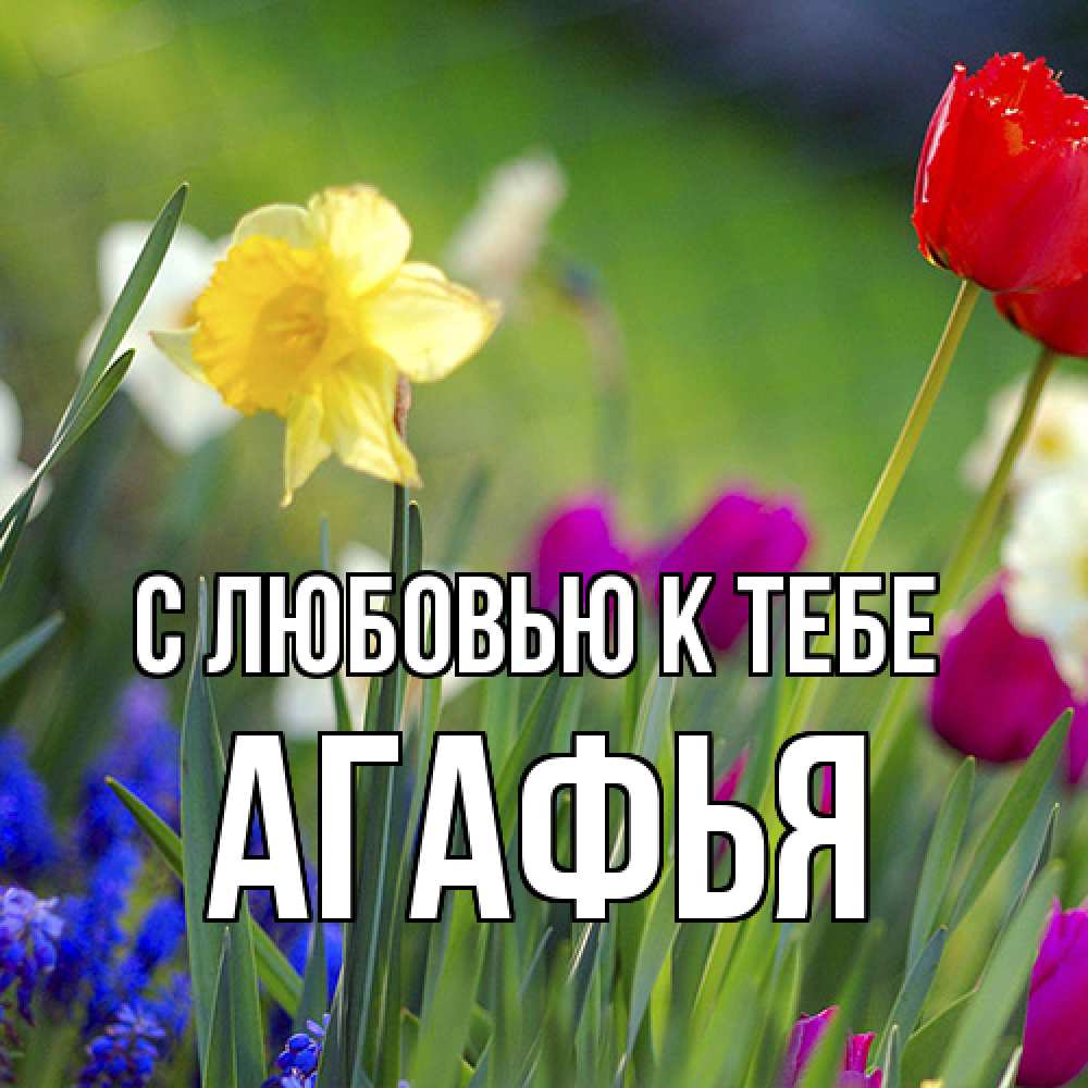 Открытка  с именем. Агафья, С любовью к тебе  