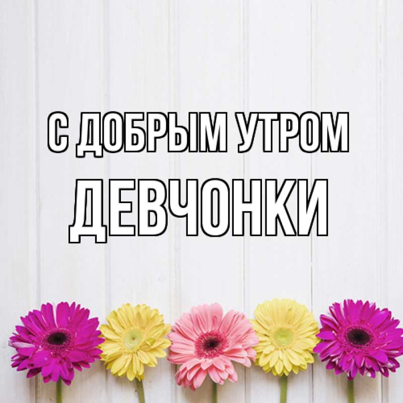 Картинка С добрым утром, девчонки