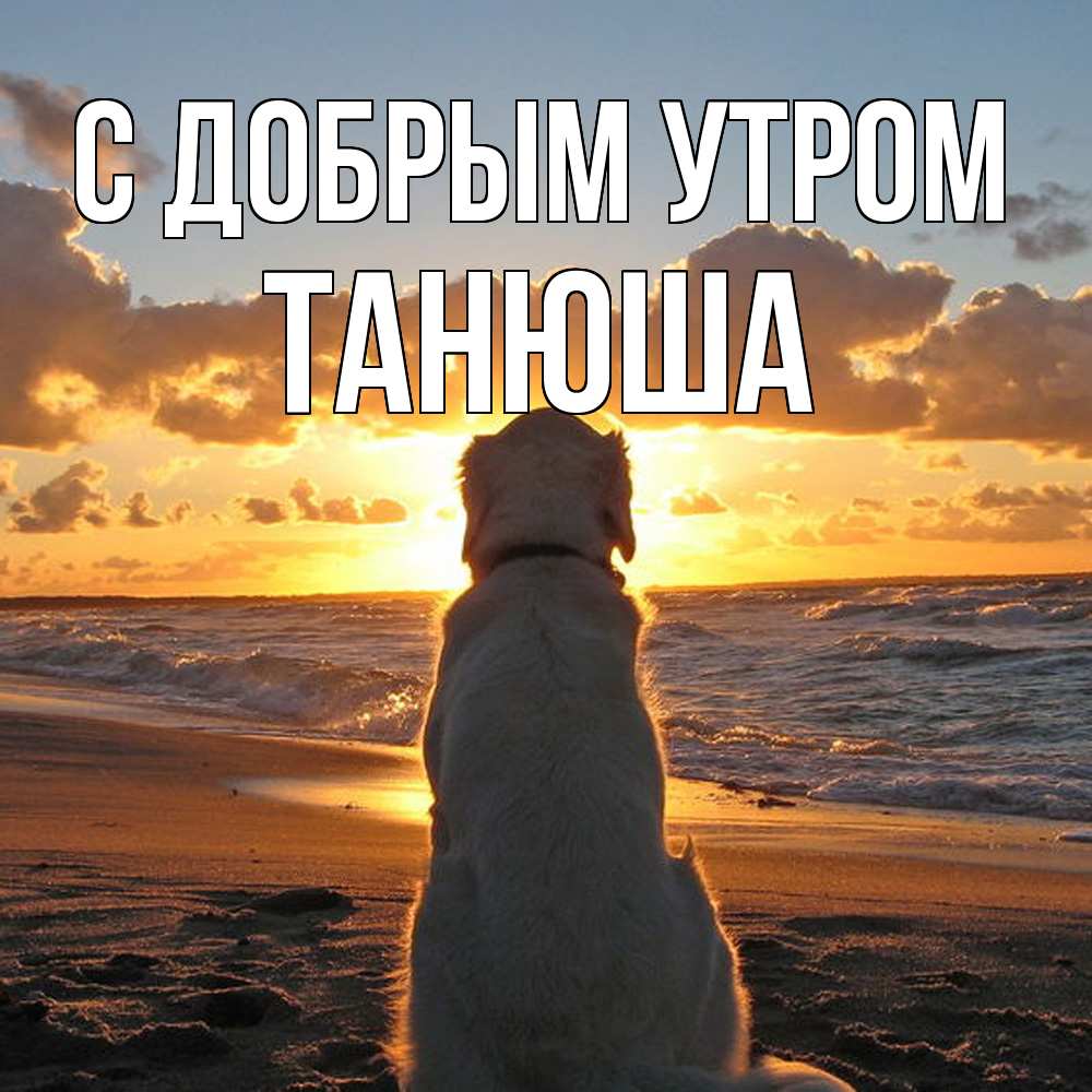 Открытка  с именем. Танюша, С добрым утром  