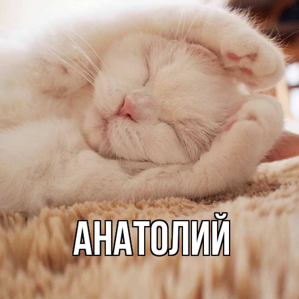 Открытка  с именем. Анатолий, Главная  