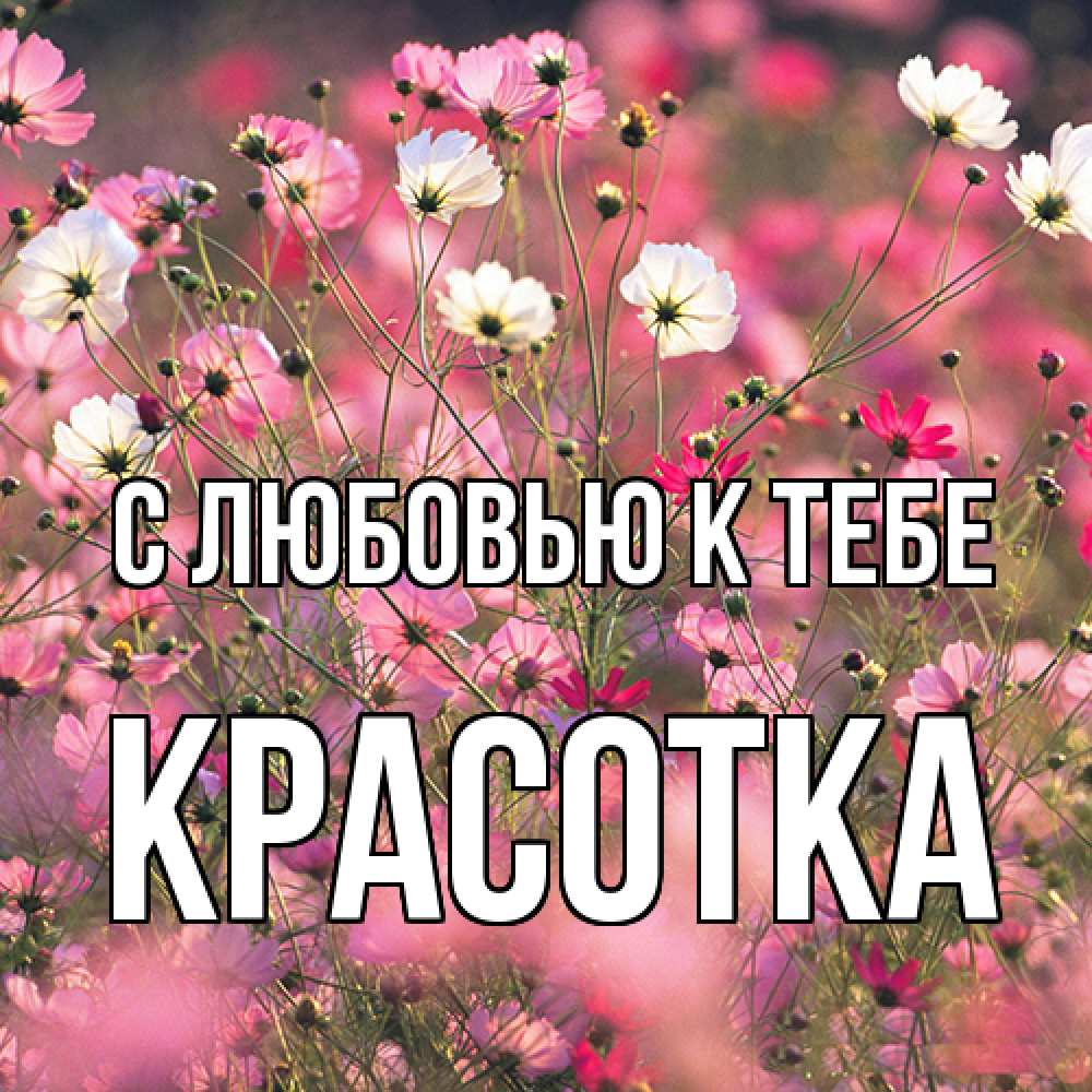 Открытка  с именем. Красотка, С любовью к тебе  
