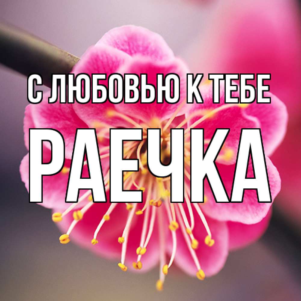Открытка  с именем. Раечка, С любовью к тебе  