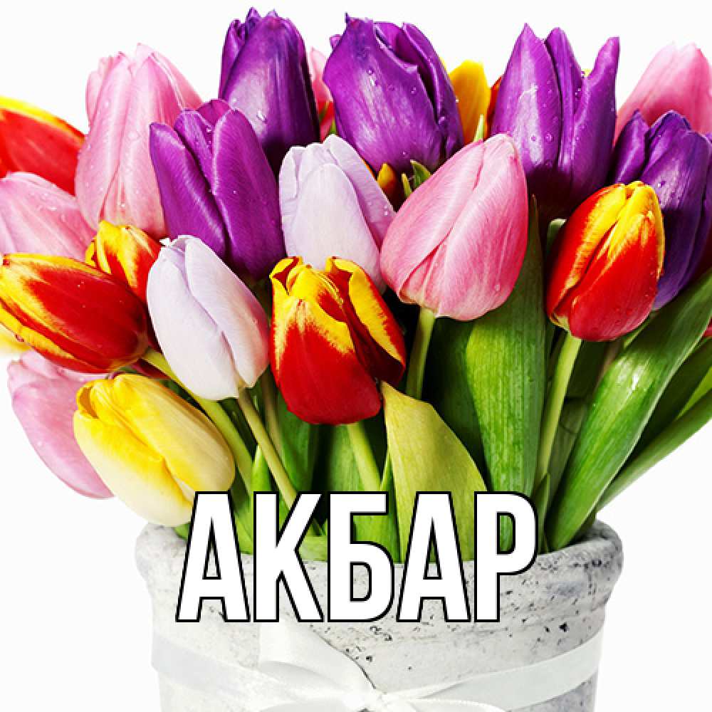 Открытка  с именем. Акбар, Главная  