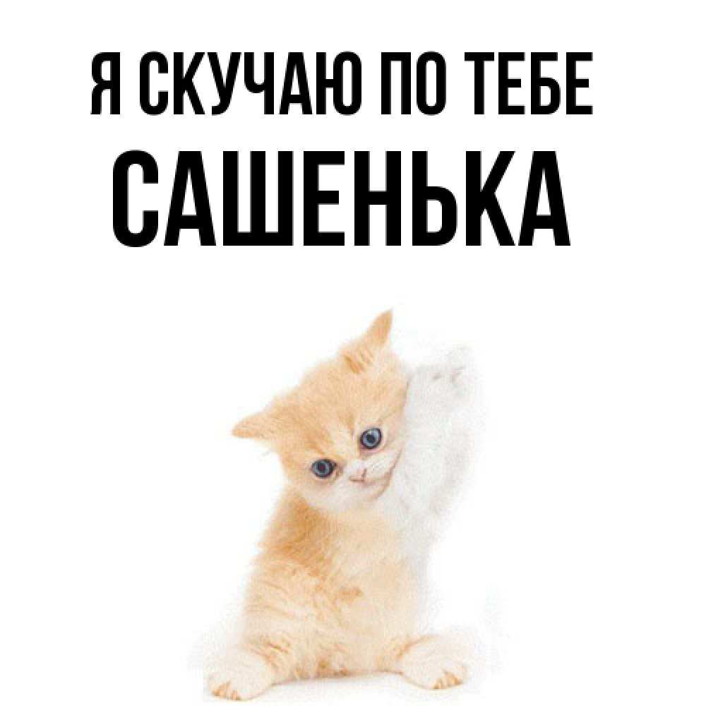Открытка  с именем. Сашенька, Я скучаю по тебе  