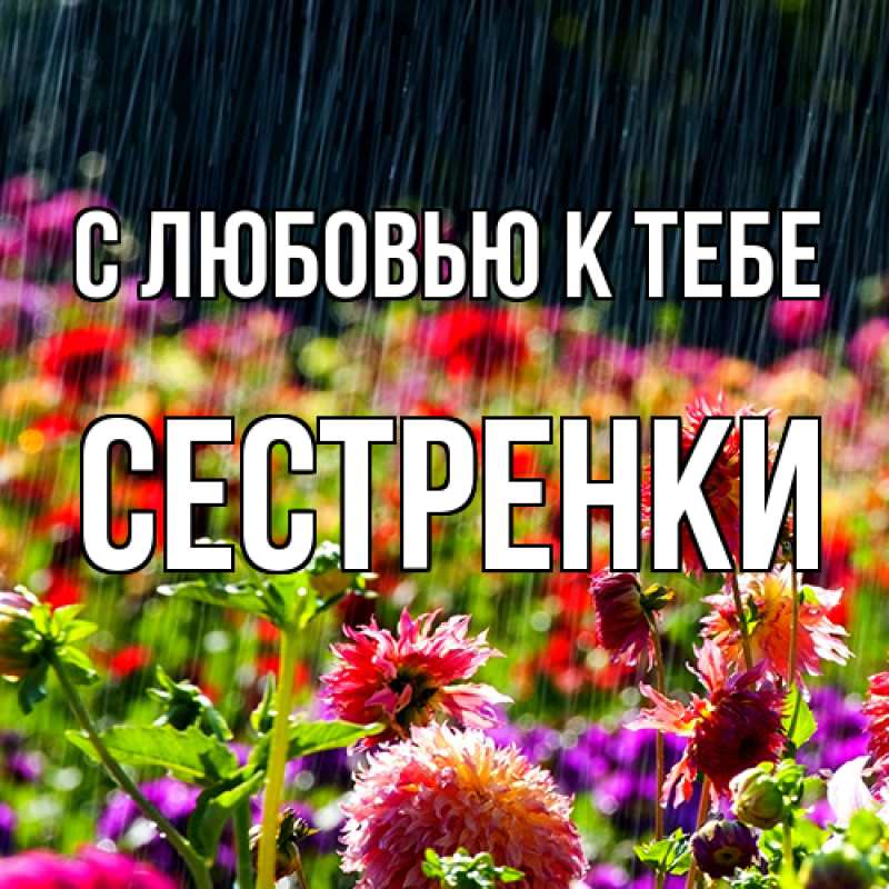 Картинка С любовью к тебе, Сестренки