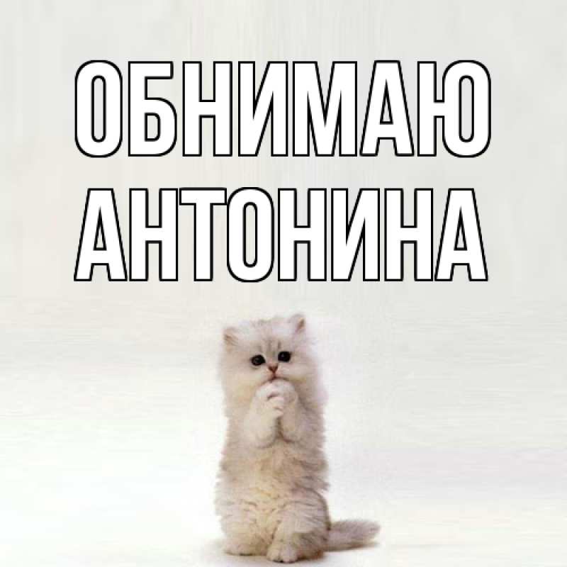 Картинка Обнимаю, Антонина