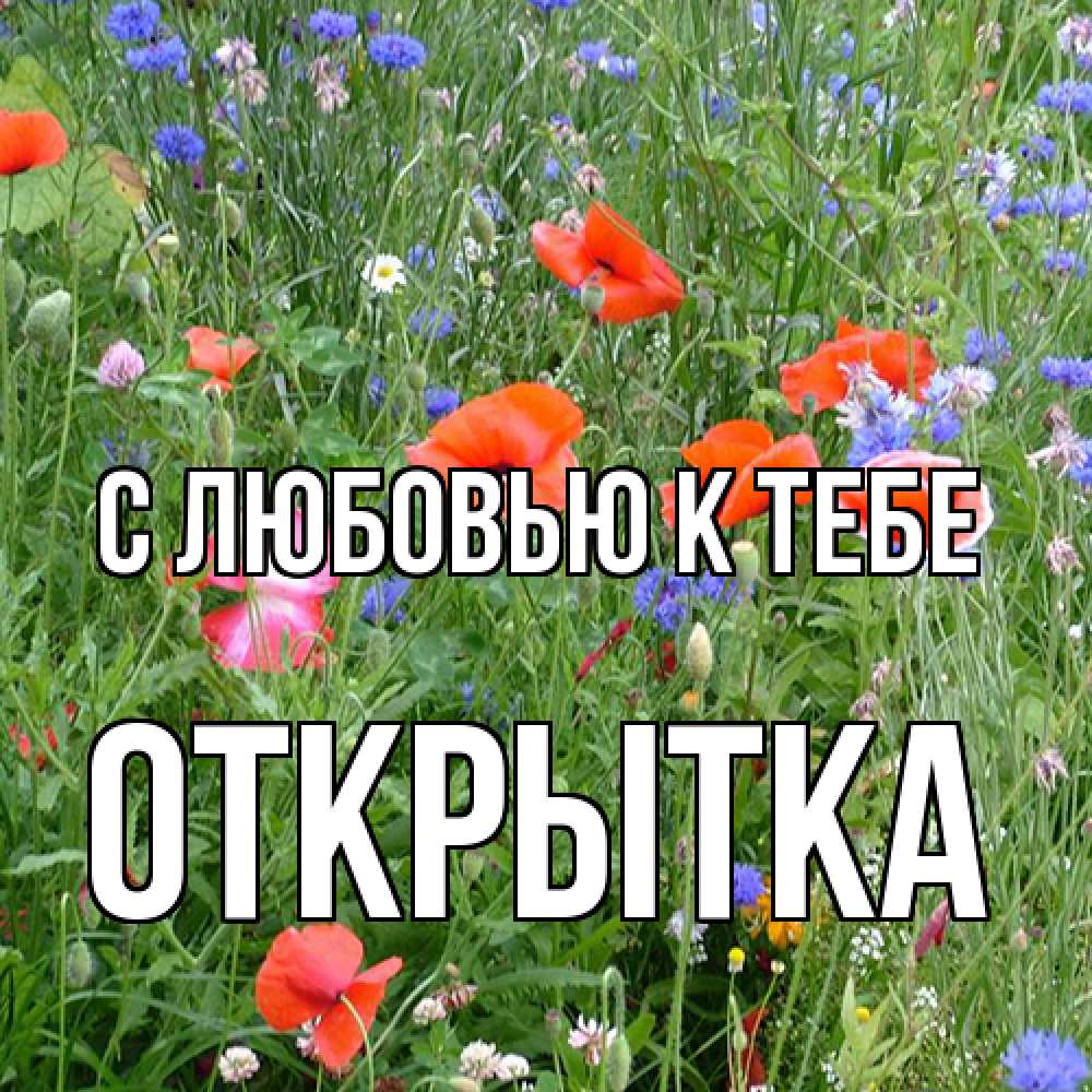 Открытка  с именем. открытка, С любовью к тебе  