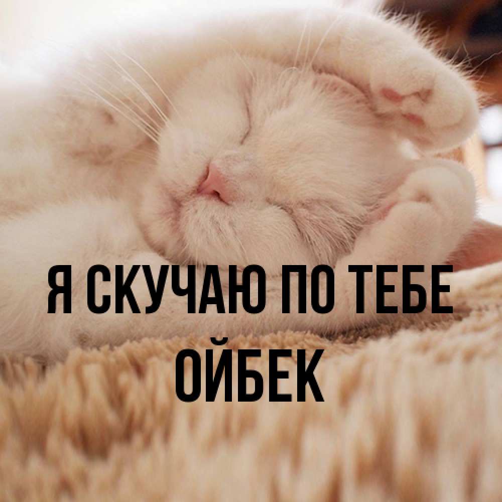 Открытка  с именем. Ойбек, Я скучаю по тебе  