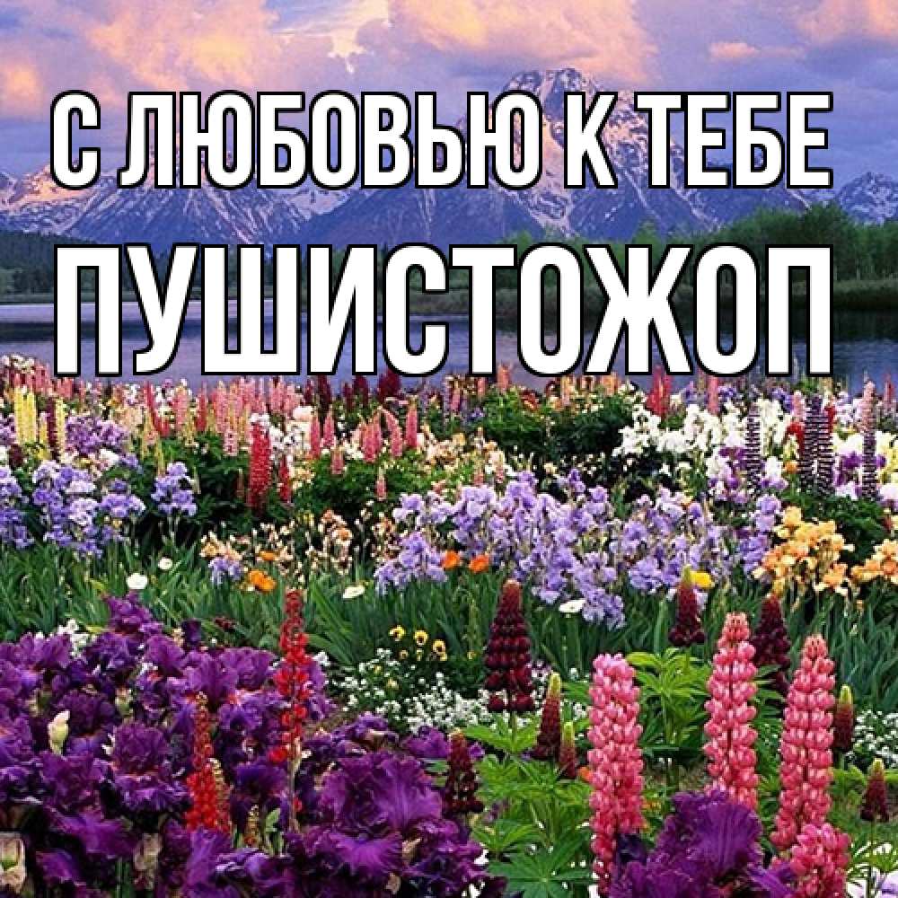 Открытка  с именем. Пушистожоп, С любовью к тебе  