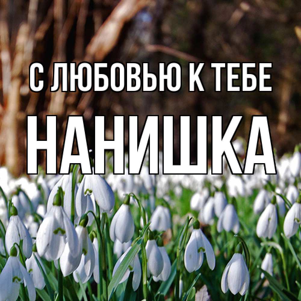 Открытка  с именем. Нанишка, С любовью к тебе  