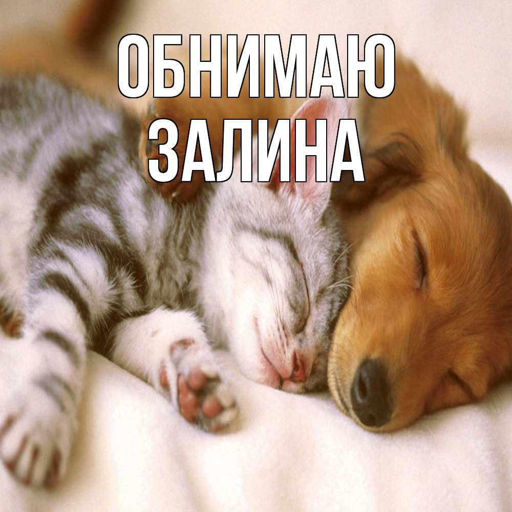 Открытка  с именем. Залина, Обнимаю  