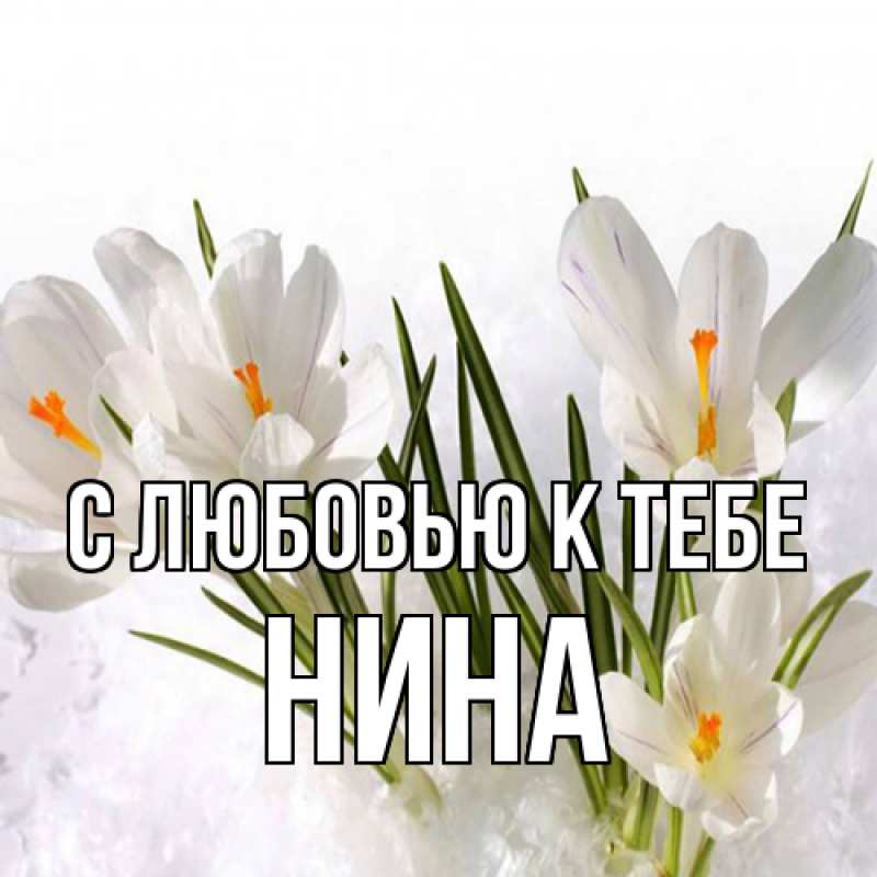Картинка С любовью к тебе, Нина
