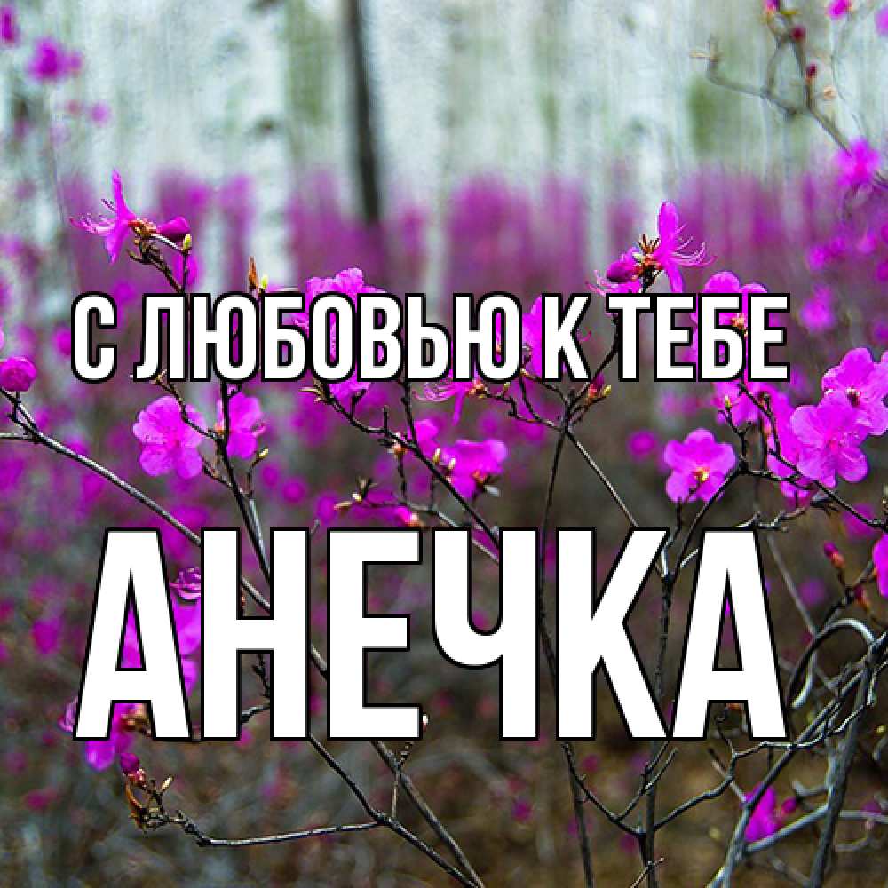 Открытка  с именем. анечка, С любовью к тебе  