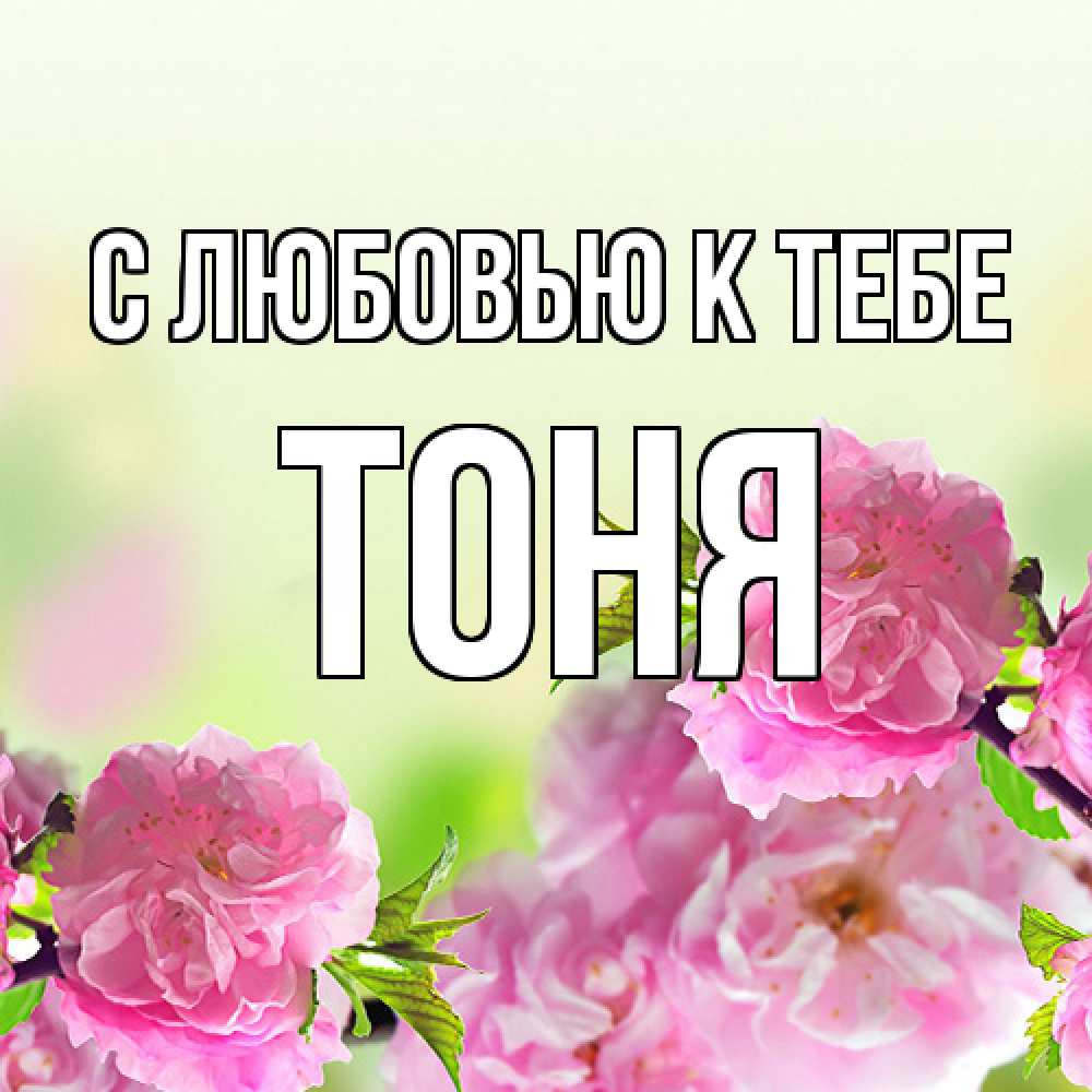 Открытка  с именем. Тоня, С любовью к тебе  