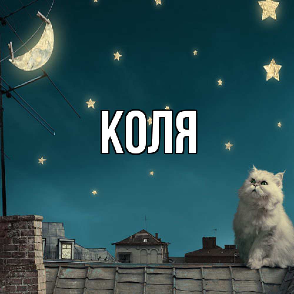 Открытка  с именем. коля, Главная  