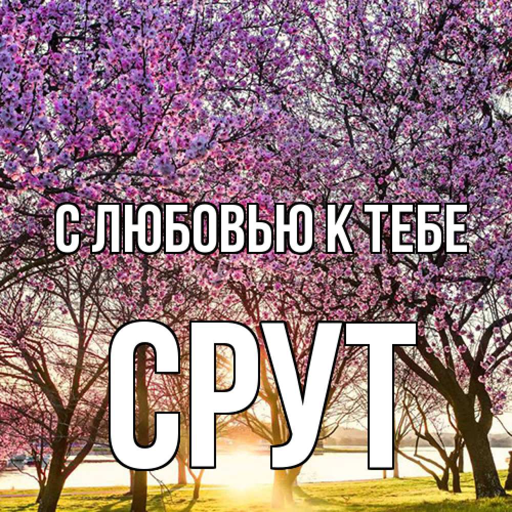 Открытка  с именем. срут, С любовью к тебе  