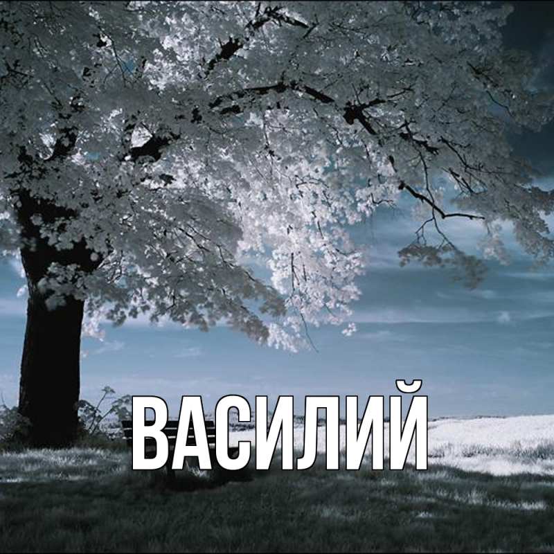 Картинка  с именем , Василий