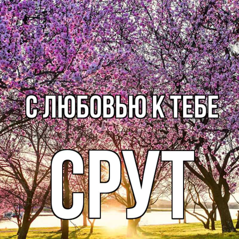 Картинка С любовью к тебе, срут