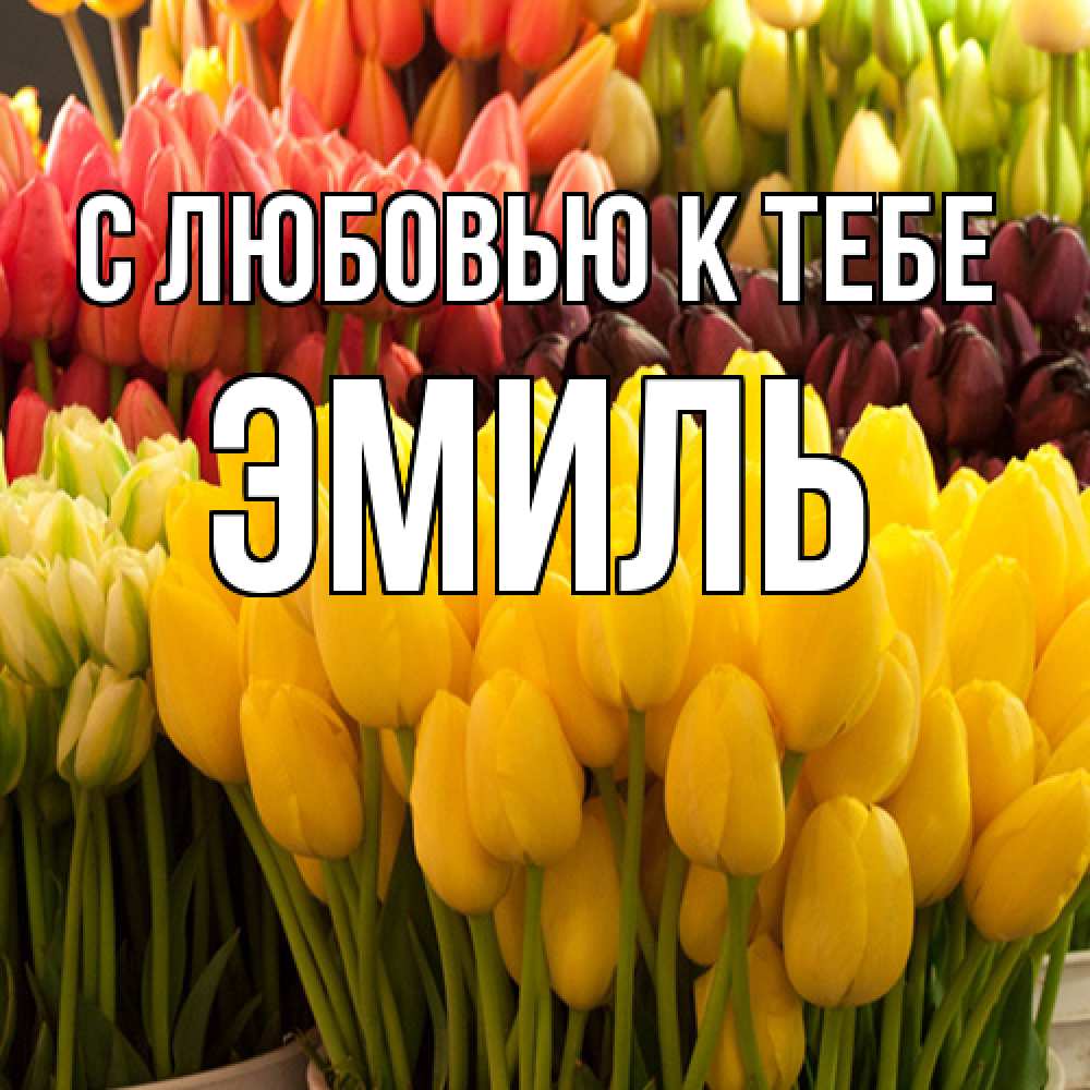 Открытка  с именем. Эмиль, С любовью к тебе  