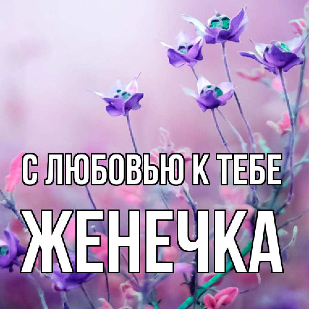 Открытка  с именем. Женечка, С любовью к тебе  