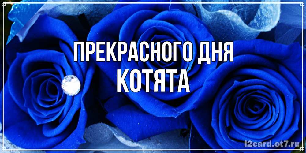 Открытка  с именем. Котята, Прекрасного дня  