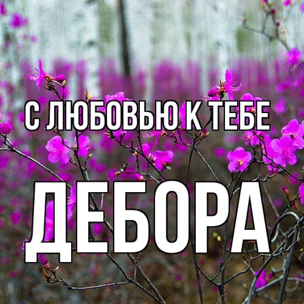 Открытка  с именем. Дебора, С любовью к тебе  