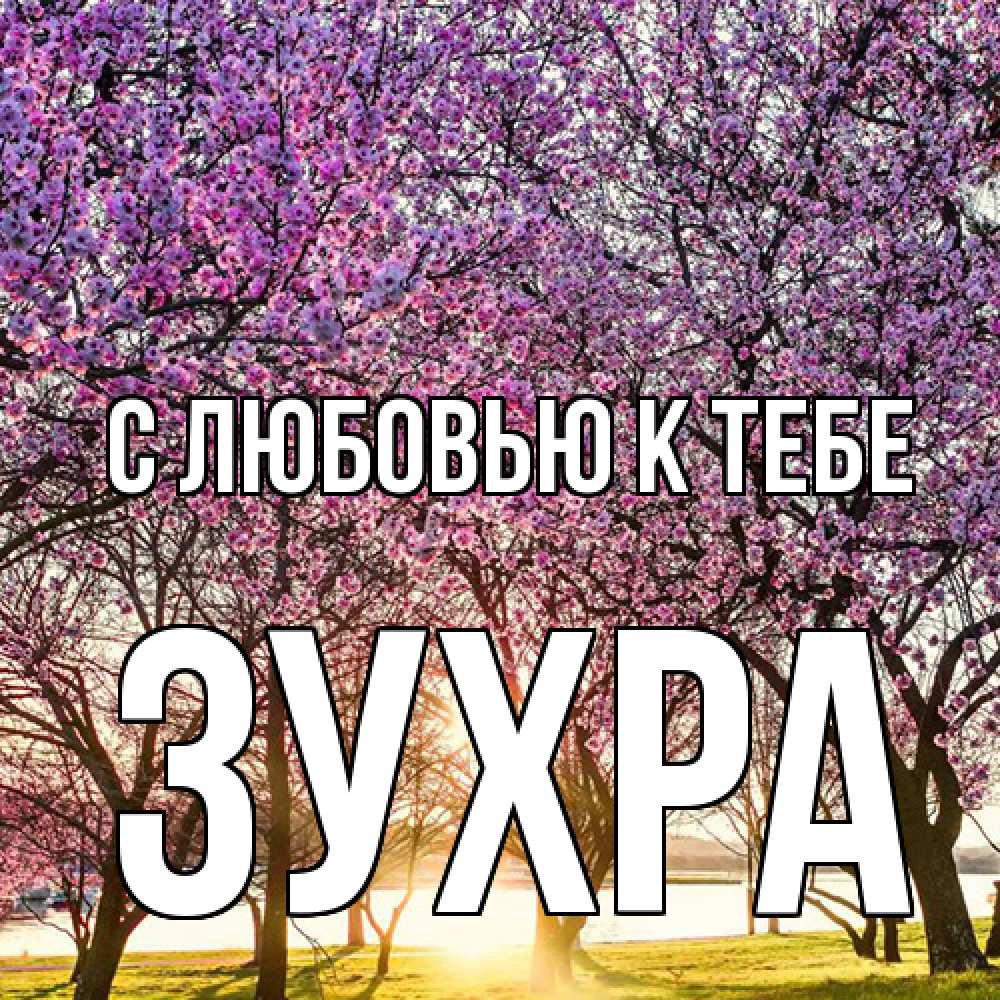 Открытка  с именем. Зухра, С любовью к тебе  