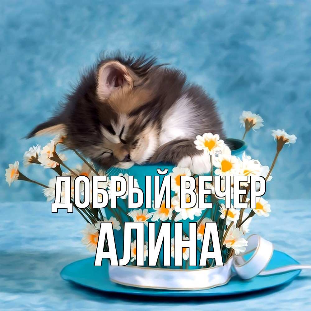 Открытка  с именем. Алина, Добрый вечер  