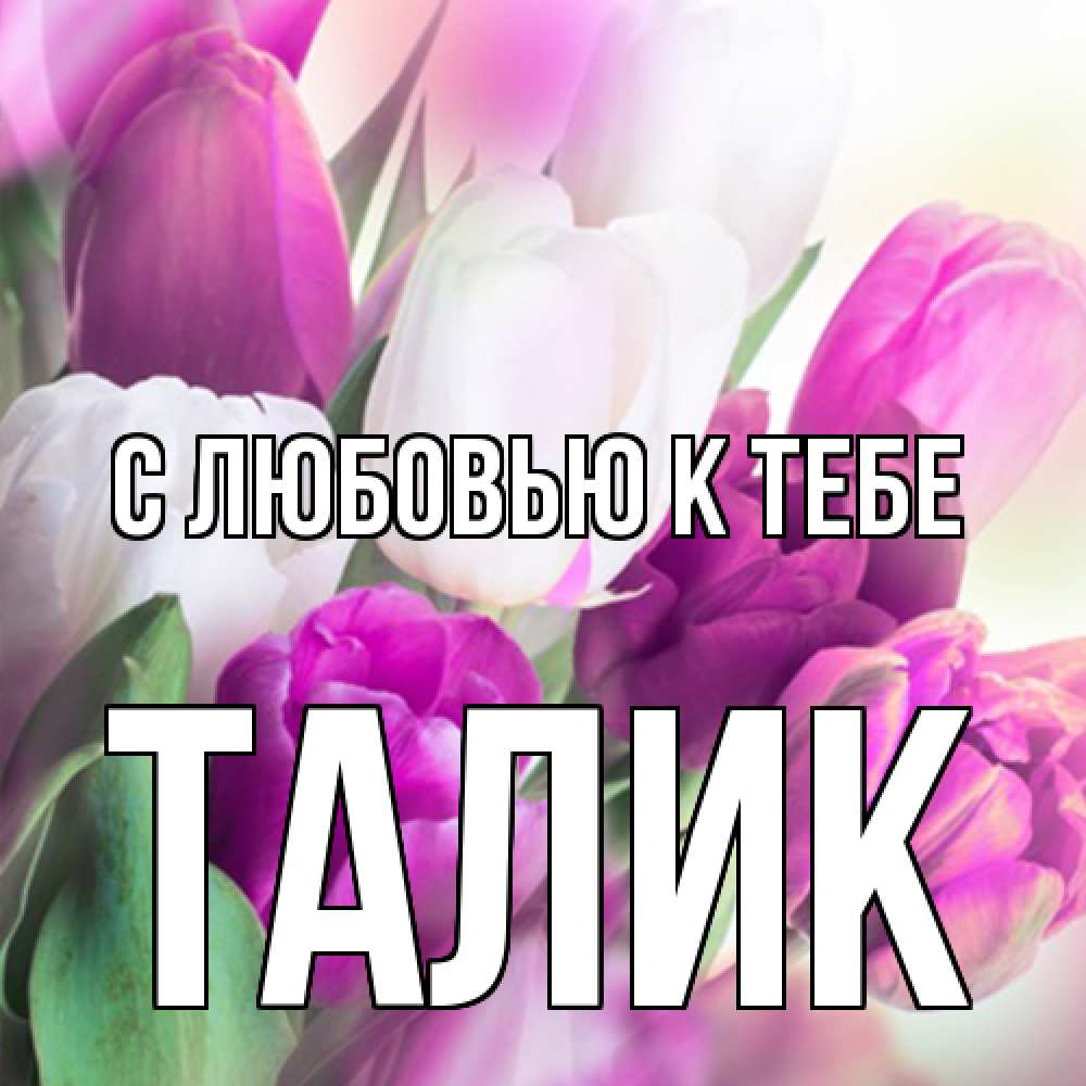 Открытка  с именем. Талик, С любовью к тебе  