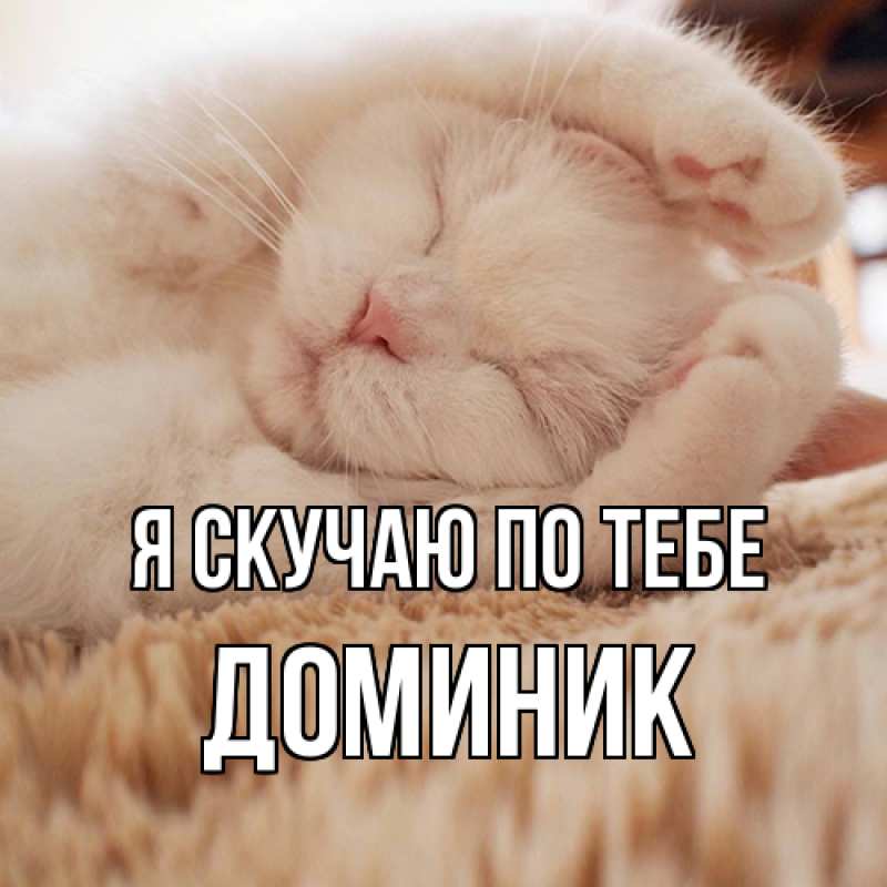 Картинка Я скучаю по тебе, Доминик