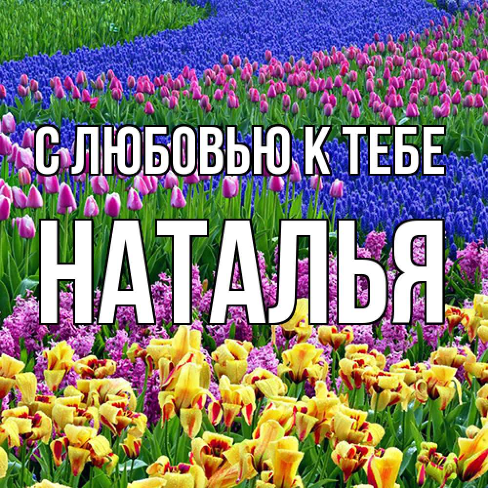 Открытка  с именем. Наталья, С любовью к тебе  