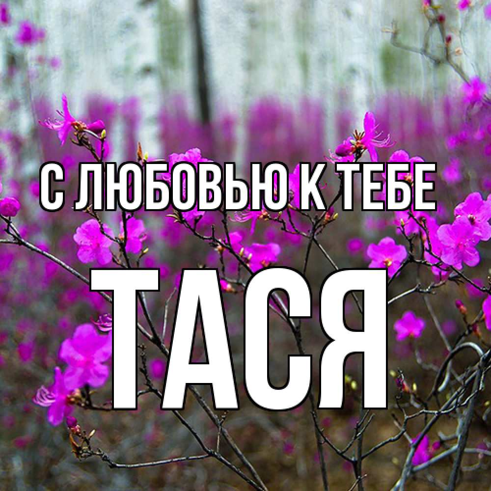 Открытка  с именем. Тася, С любовью к тебе  