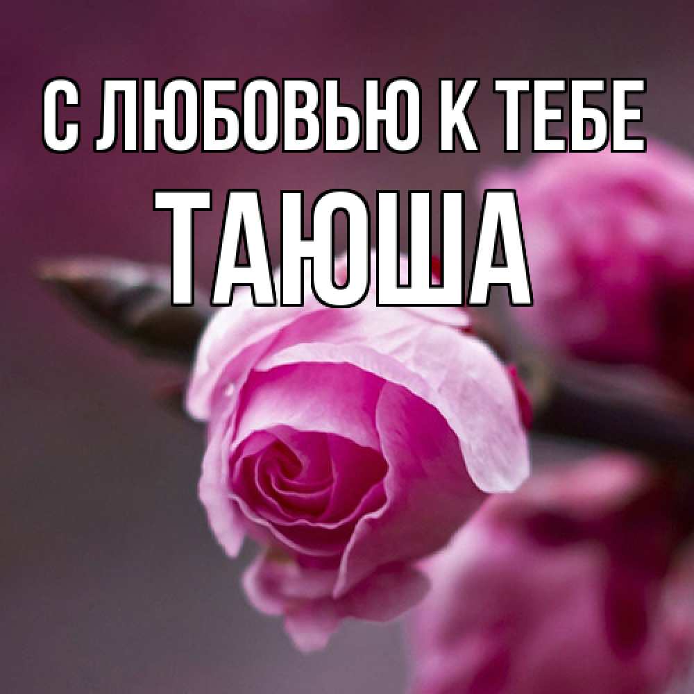 Открытка  с именем. Таюша, С любовью к тебе  