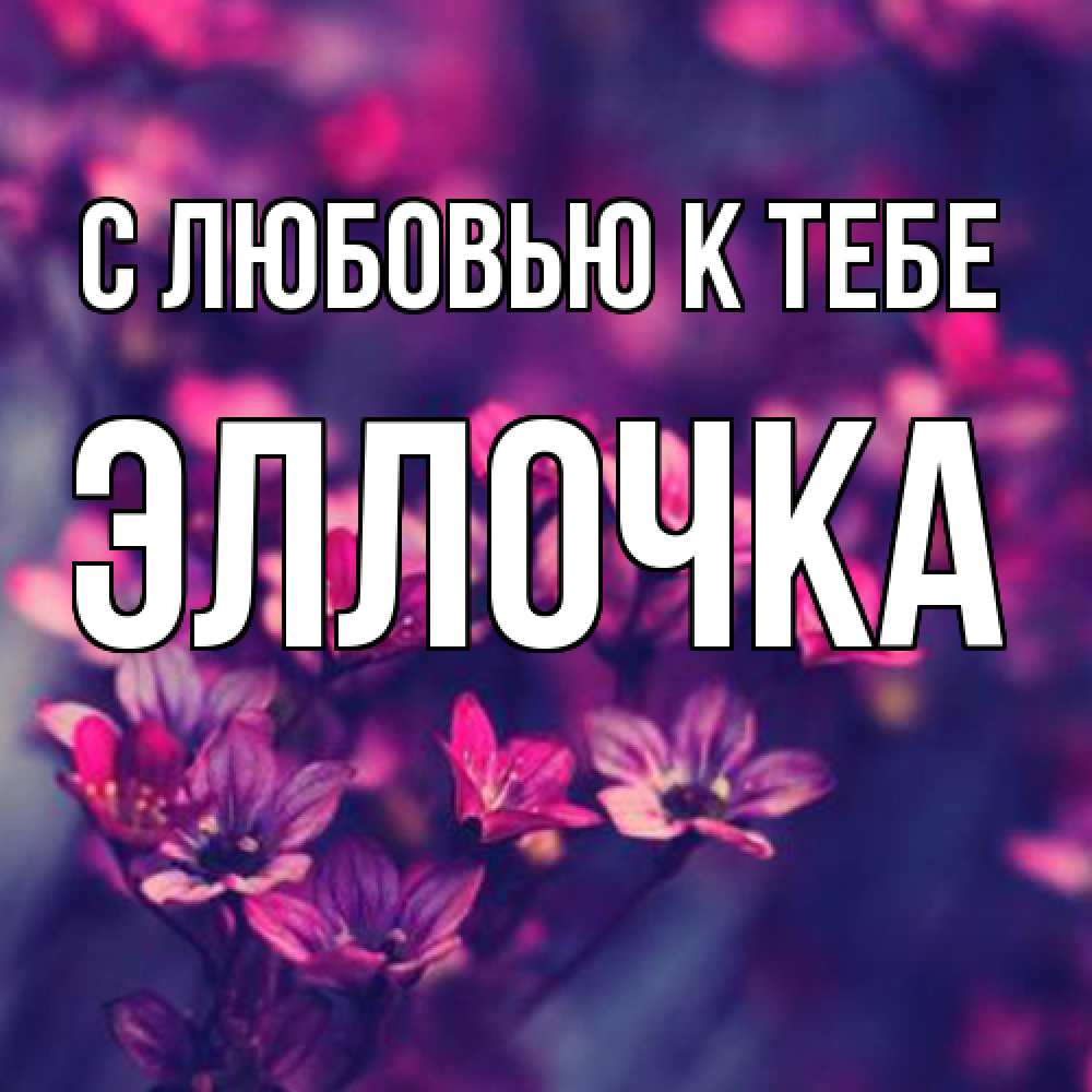 Открытка  с именем. Эллочка, С любовью к тебе  
