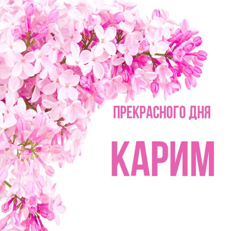 Картинка Прекрасного дня, Карим