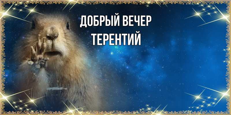 Картинка Добрый вечер, Терентий