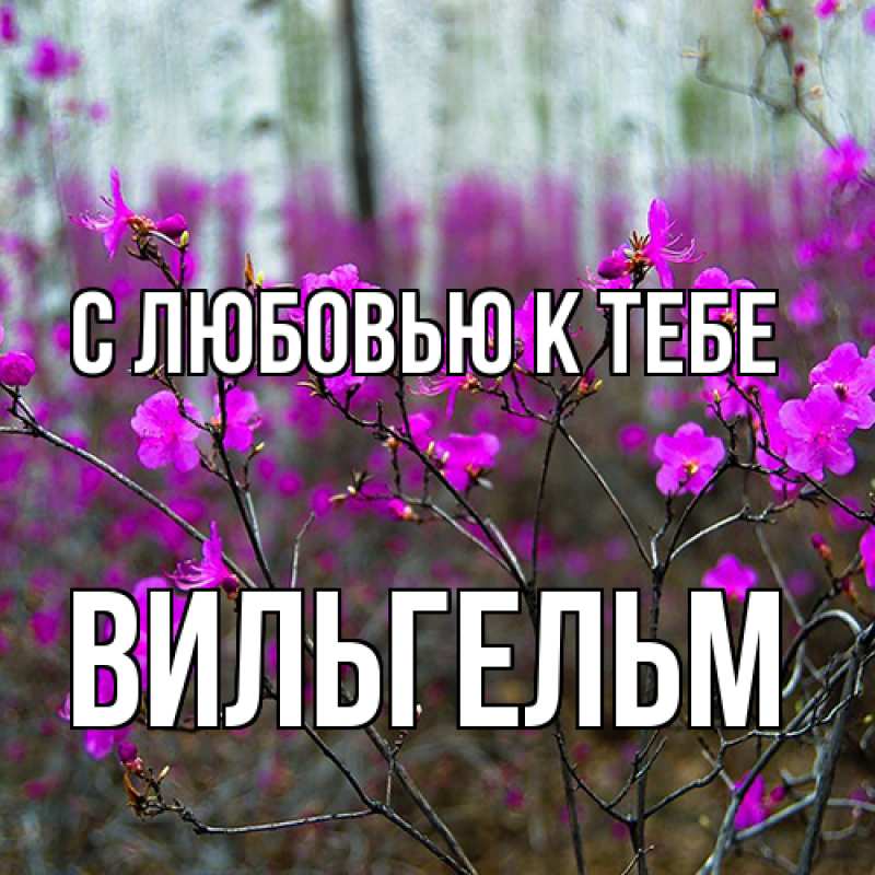 Картинка С любовью к тебе, Вильгельм