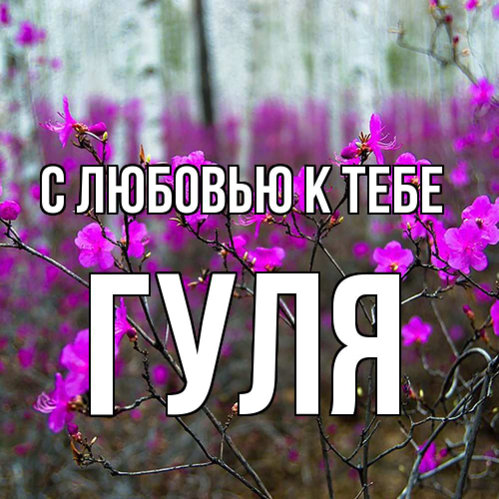 Открытка  с именем. Гуля, С любовью к тебе  