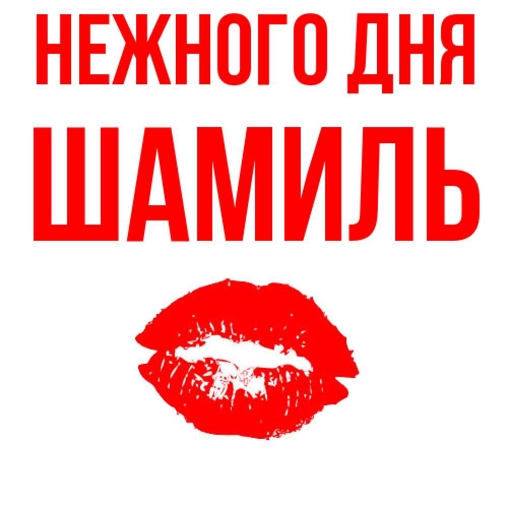 Открытка  с именем. Шамиль, Нежного дня  