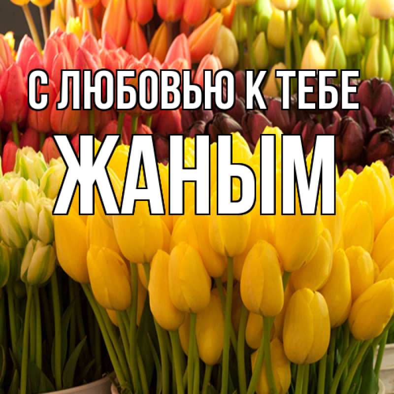 Картинка С любовью к тебе, Жаным