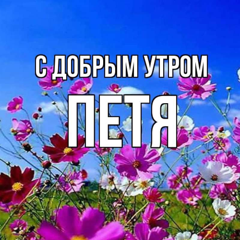 Картинка С добрым утром, Петя