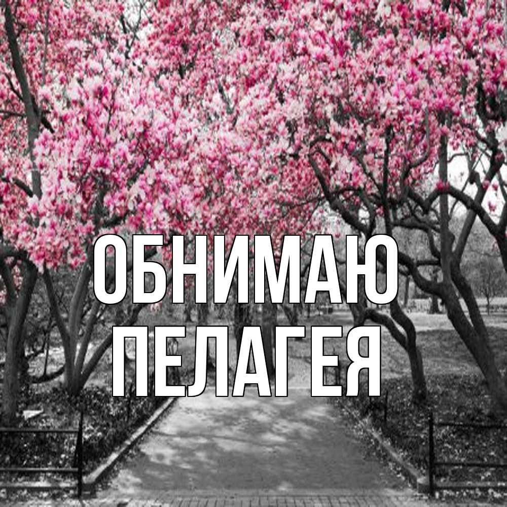 Открытка  с именем. Пелагея, Обнимаю  