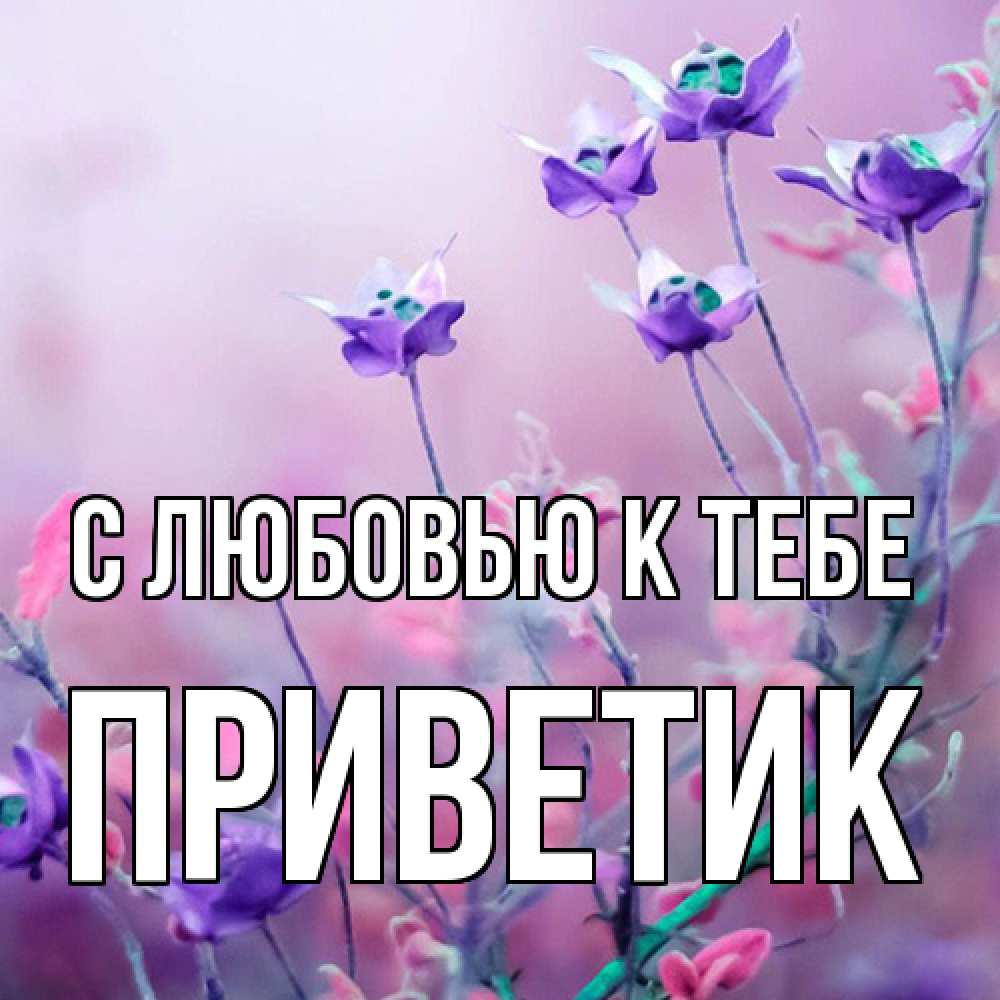 Открытка  с именем. приветик, С любовью к тебе  
