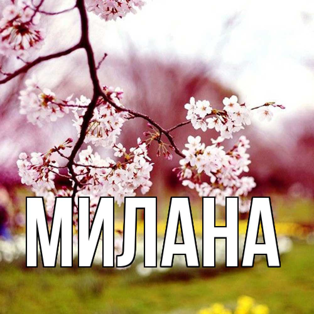 Открытка  с именем. Милана, Главная  