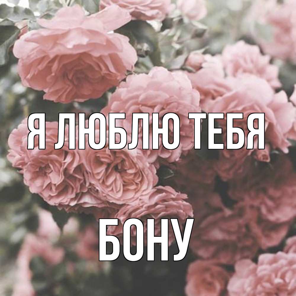 Открытка  с именем. Бону, Я люблю тебя  