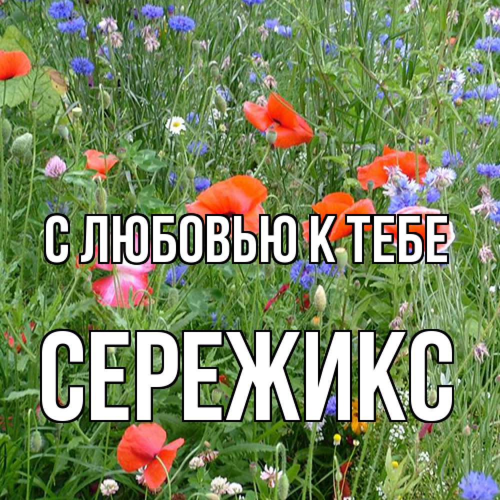 Открытка  с именем. Сережикс, С любовью к тебе  