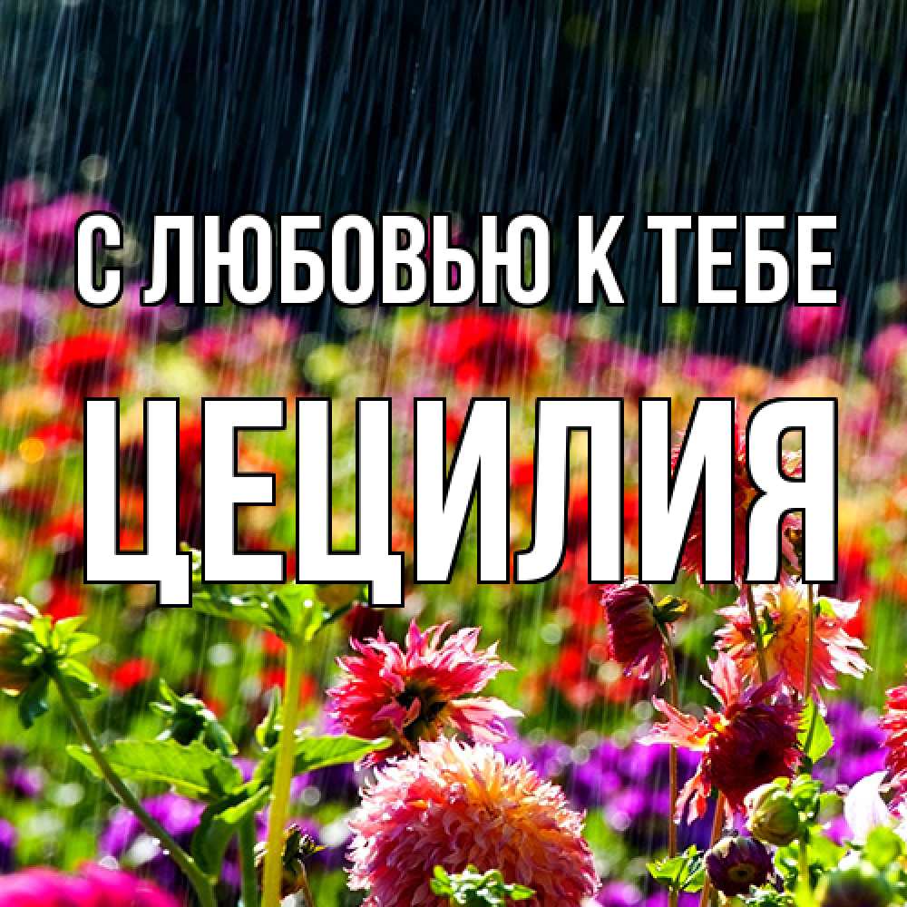 Открытка  с именем. Цецилия, С любовью к тебе  
